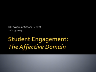 Student Engagement: The Affective Domain