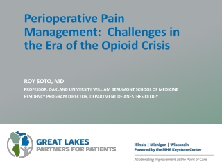 Perioperative Pain Management:  Challenges in the Era of the Opioid Crisis