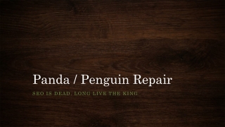 Panda / Penguin Repair