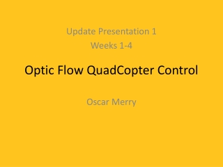 Optic Flow QuadCopter Control