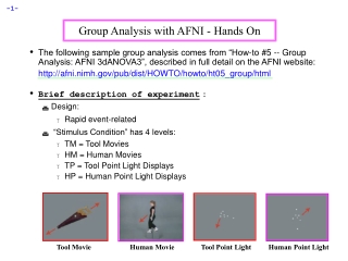 Group Analysis with AFNI - Hands On