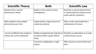 2 nd section Title: Levels of Organization