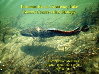 Kootenai River / Kootenay Lake Burbot Conservation Strategy