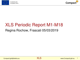 XLS Periodic Report M1-M18