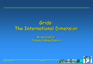 Grids: The International Dimension