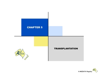 TRANSPLANTATION