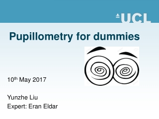 Pupillometry for dummies