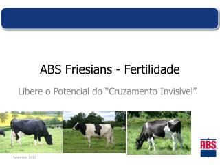 ABS Friesians - Fertilidade