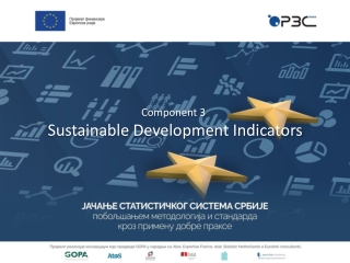 Component 3 Sustainable Development Indicators