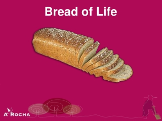 Bread of Life