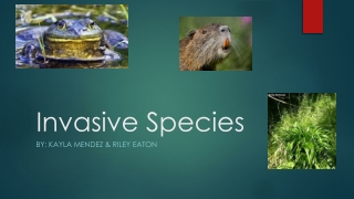 Invasive Species