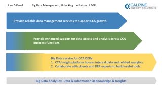 Big Data service for CCA DERs: