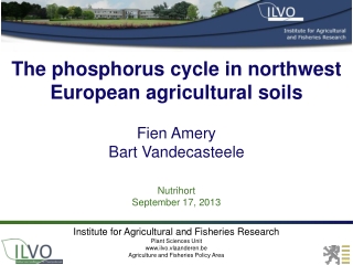 The phosphorus cycle in n orthwest European agricultural soils