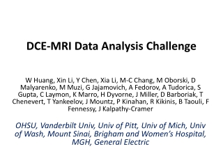 DCE-MRI Data Analysis Challenge