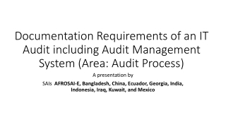 Documentation Requirements of an IT Audit including Audit Management System (Area: Audit Process)