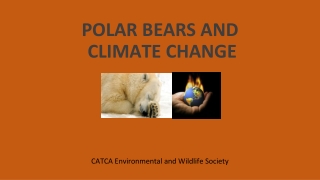 POLAR BEARS AND CLIMATE CHANGE