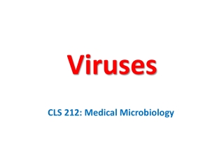 Viruses