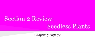 Section 2 Review: Seedless Plants