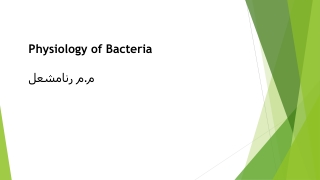 Physiology of Bacteria م.م رنا مشعل
