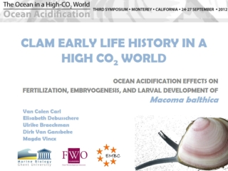 CLAM EARLY LIFE HISTORY IN A HIGH CO 2 WORLD