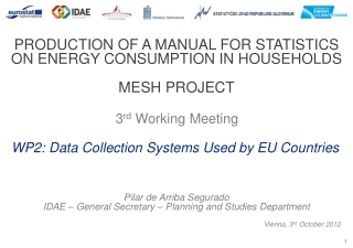 PRODUCTION OF A MANUAL FOR STATISTICS ON ENERGY CONSUMPTION IN HOUSEHOLDS MESH PROJECT