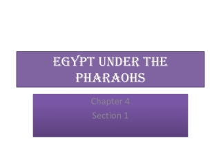 Egypt Under The Pharaohs