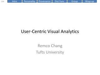 User-Centric Visual Analytics