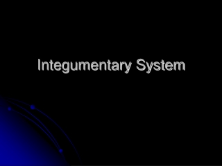 Integumentary System