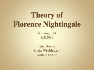 Theory of Florence Nightingale