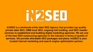 White Label SEO Company - In2SEO