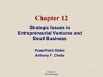 Strategic Issues in Entrepreneurial Ventures and Small Business PowerPoint Slides Anthony F. Chelte Western New England