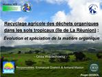 Recyclage agricole des d chets organiques dans les sols tropicaux le de La R union : volution et sp ciation de la mat