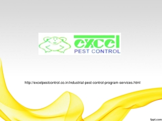 Industrial Pest Control Services in Pune,hadapsar,vishrantwadi,wakad,baner,chakan,midc,bhosari