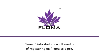 Floma Professional Account Proposal