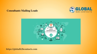 Consultants Mailing Leads