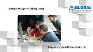 Systems Designer Mailing Leads