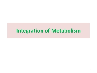 Integration of Metabolism