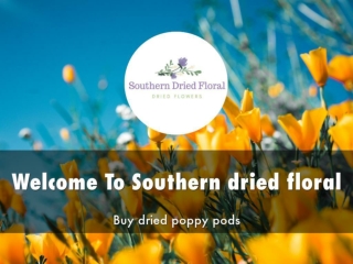 Detail Presentation About South Erndried Floral