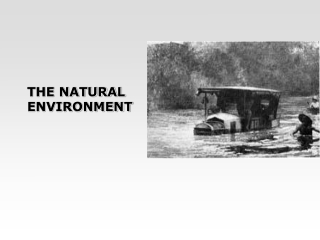 THE NATURAL ENVIRONMENT