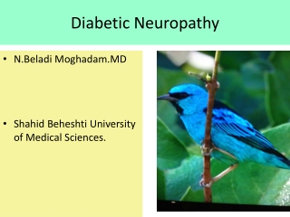 Diabetic Neuropathy