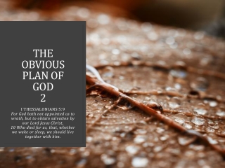The Obvious Plan of God 2