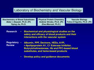 Biochemical and physiological studies on the safety and efficacy of blood products and their interactions with the vascu