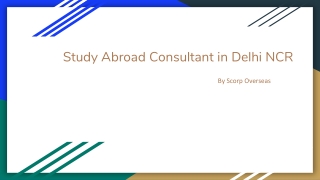 Study Abroad Consultant in Delhi NCR