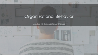 Organizational Behavior