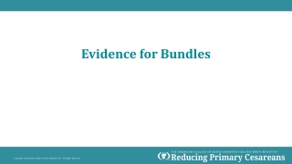 Evidence for Bundles