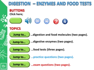 DIGESTION – ENZYMES AND FOOD TESTS