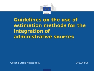 Guidelines on the use of estimation methods for the integration of administrative sources