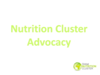 Nutrition Cluster Advocacy