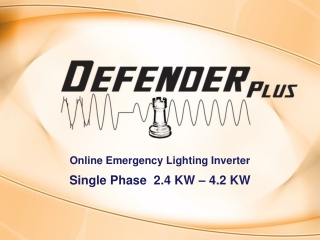 Online Emergency Lighting Inverter