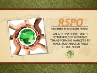 AN INTERNATIONAL MULTI STAKEHOLDER INITIATIVE TRANSFORMING MARKETS TO MAKE SUSTAINABLE PALM